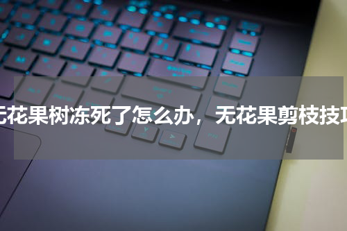 无花果树冻死了怎么办，无花果剪枝技巧