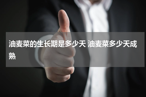 油麦菜的生长期是多少天 油麦菜多少天成熟