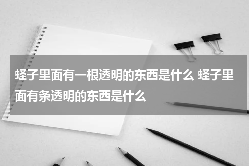 蛏子里面有一根透明的东西是什么 蛏子里面有条透明的东西是什么