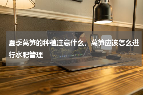 夏季莴笋的种植注意什么，莴笋应该怎么进行水肥管理