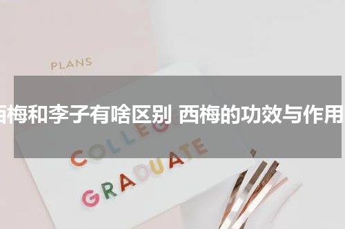 西梅和李子有啥区别 西梅的功效与作用