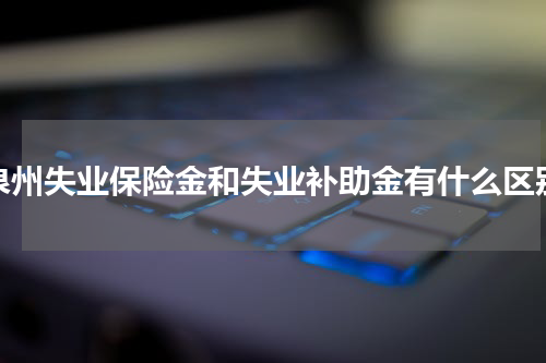 泉州失业保险金和失业补助金有什么区别