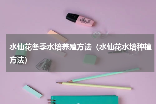 水仙花冬季水培养殖方法（水仙花水培种植方法）