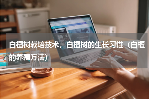 白檀树栽培技术，白檀树的生长习性（白檀的养殖方法）