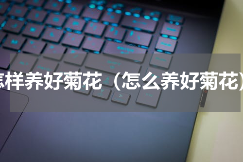 怎样养好菊花（怎么养好菊花）