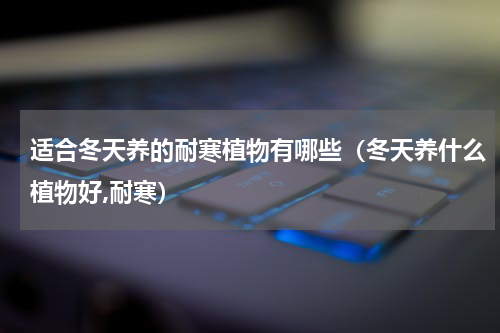 适合冬天养的耐寒植物有哪些（冬天养什么植物好,耐寒）