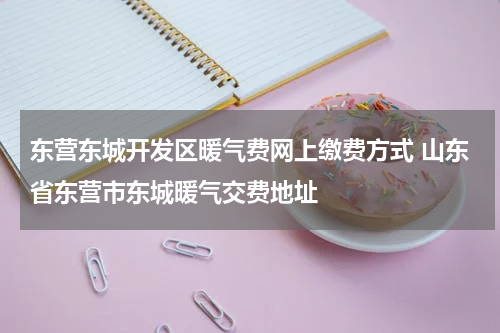 东营东城开发区暖气费网上缴费方式 山东省东营市东城暖气交费地址