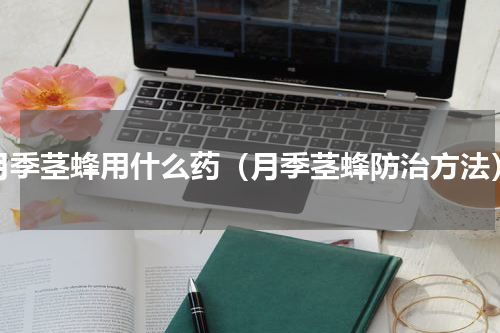 月季茎蜂用什么药（月季茎蜂防治方法）
