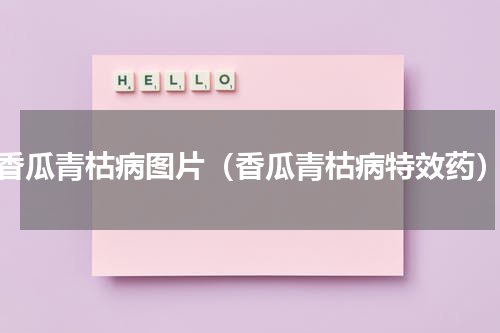 香瓜青枯病图片（香瓜青枯病特效药）