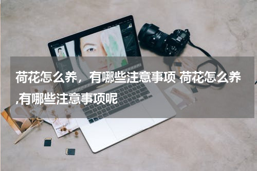荷花怎么养，有哪些注意事项 荷花怎么养,有哪些注意事项呢