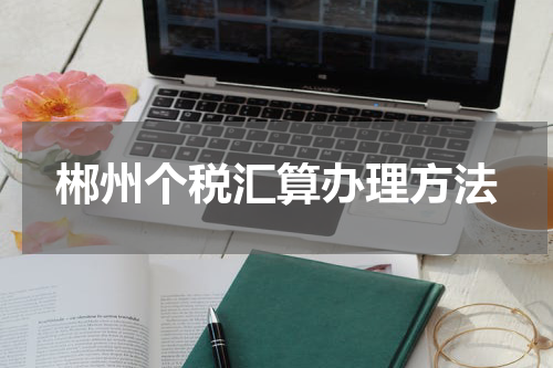 郴州个税汇算办理方法