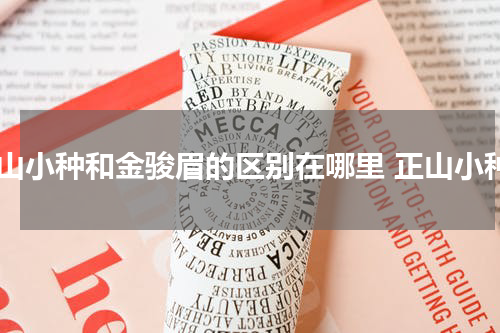 正山小种和金骏眉的区别在哪里 正山小种