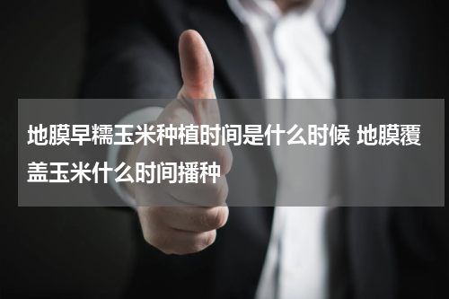 地膜早糯玉米种植时间是什么时候 地膜覆盖玉米什么时间播种