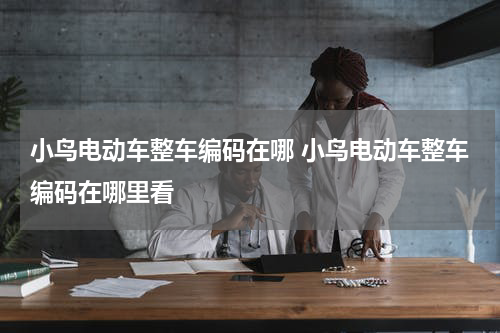小鸟电动车整车编码在哪 小鸟电动车整车编码在哪里看