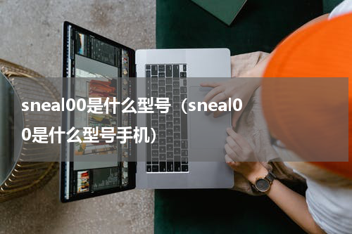 sneal00是什么型号（sneal00是什么型号手机）