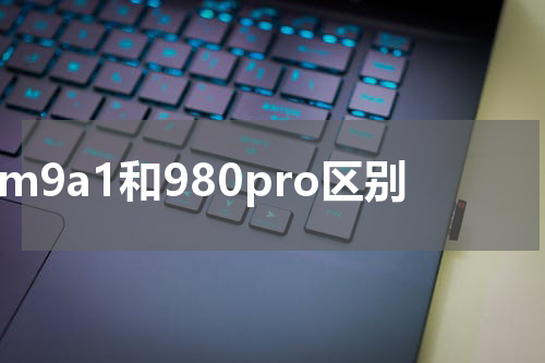 pm9a1和980pro区别