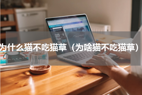 为什么猫不吃猫草（为啥猫不吃猫草）