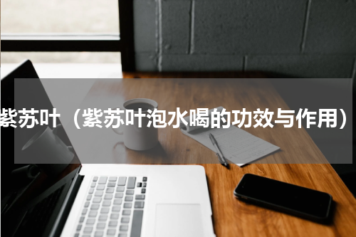 紫苏叶（紫苏叶泡水喝的功效与作用）