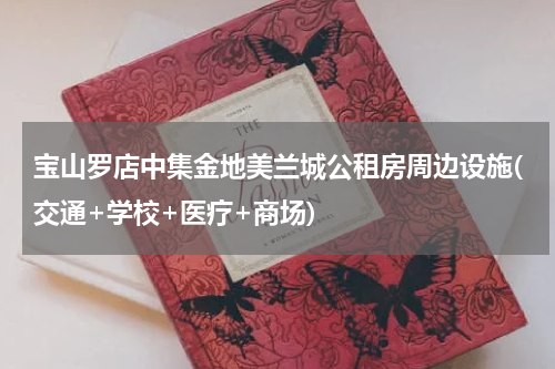 宝山罗店中集金地美兰城公租房周边设施(交通+学校+医疗+商场)