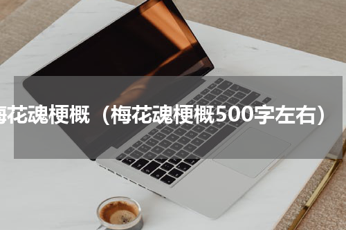 梅花魂梗概（梅花魂梗概500字左右）