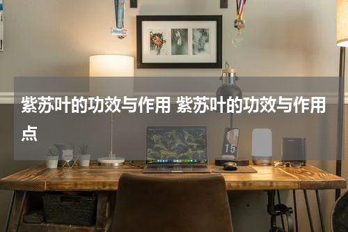 紫苏叶的功效与作用 紫苏叶的功效与作用点
