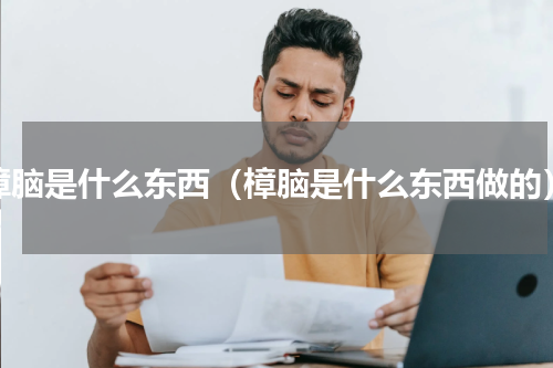 樟脑是什么东西（樟脑是什么东西做的）