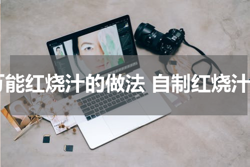 万能红烧汁的做法 自制红烧汁