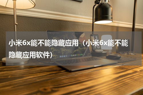 小米6x能不能隐藏应用（小米6x能不能隐藏应用软件）