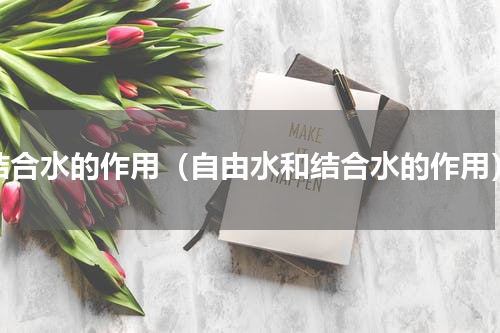 结合水的作用（自由水和结合水的作用）