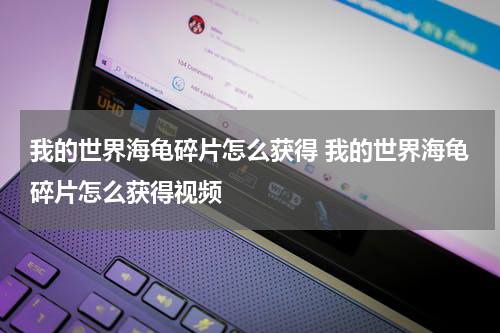 我的世界海龟碎片怎么获得 我的世界海龟碎片怎么获得视频