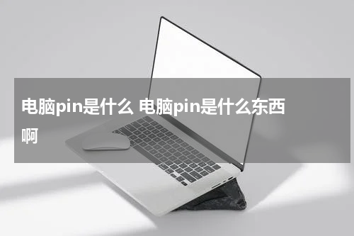 电脑pin是什么 电脑pin是什么东西啊