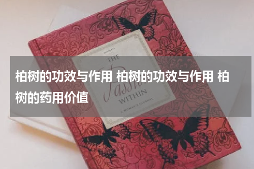 柏树的功效与作用 柏树的功效与作用 柏树的药用价值