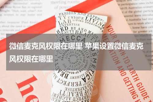 微信麦克风权限在哪里 苹果设置微信麦克风权限在哪里