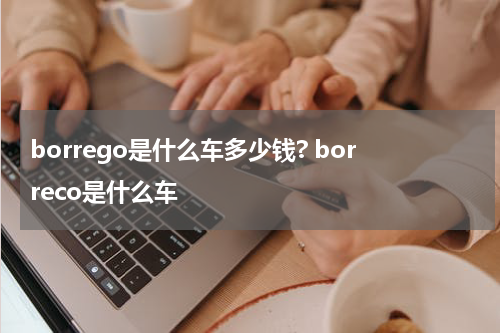 borrego是什么车多少钱? borreco是什么车