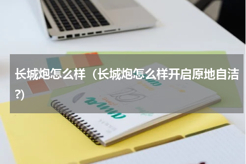 长城炮怎么样（长城炮怎么样开启原地自洁?）