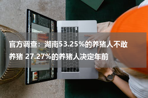 官方调查：湖南53.25%的养猪人不敢养猪 27.27%的养猪人决定年前