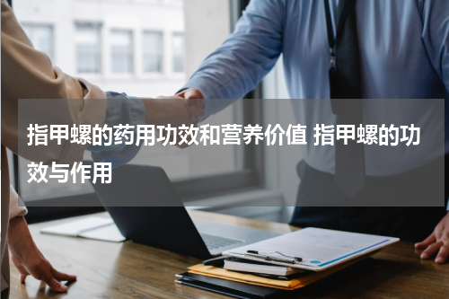 指甲螺的药用功效和营养价值 指甲螺的功效与作用