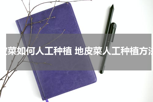 地皮菜如何人工种植 地皮菜人工种植方法