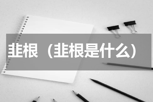 韭根（韭根是什么）
