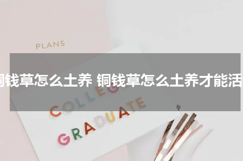 铜钱草怎么土养 铜钱草怎么土养才能活