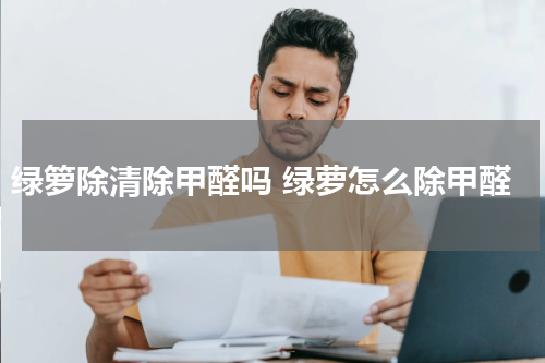 绿箩除清除甲醛吗 绿萝怎么除甲醛