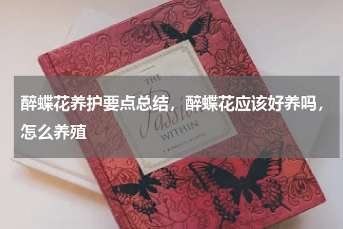 醉蝶花养护要点总结，醉蝶花应该好养吗，怎么养殖