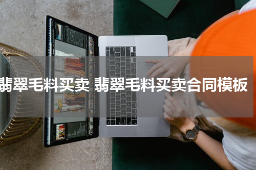翡翠毛料买卖 翡翠毛料买卖合同模板