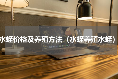 水蛭价格及养殖方法（水蛭养殖水蛭）