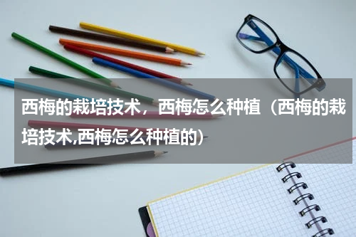 西梅的栽培技术，西梅怎么种植（西梅的栽培技术,西梅怎么种植的）