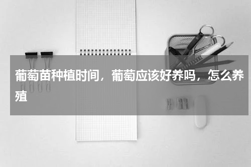 葡萄苗种植时间，葡萄应该好养吗，怎么养殖