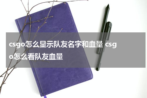 csgo怎么显示队友名字和血量 csgo怎么看队友血量