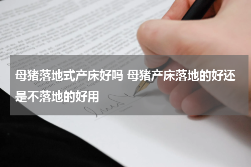 母猪落地式产床好吗 母猪产床落地的好还是不落地的好用