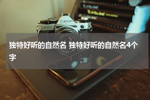 独特好听的自然名 独特好听的自然名4个字