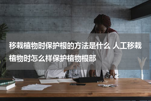 移栽植物时保护根的方法是什么 人工移栽植物时怎么样保护植物根部